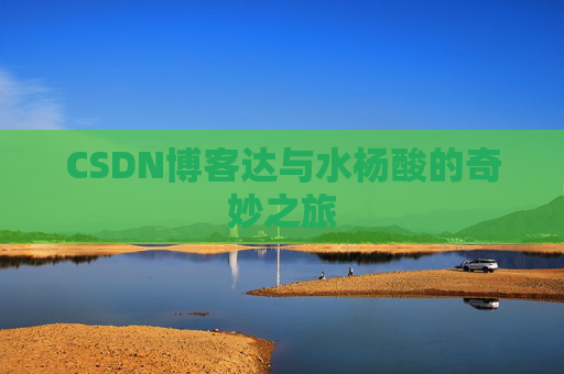 CSDN博客达与水杨酸的奇妙之旅